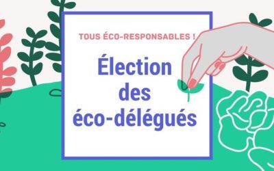 Élections des éco-délégués et du CVC le 12 octobre !