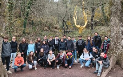 Sortie Brocéliande : sur les traces de Merlin !